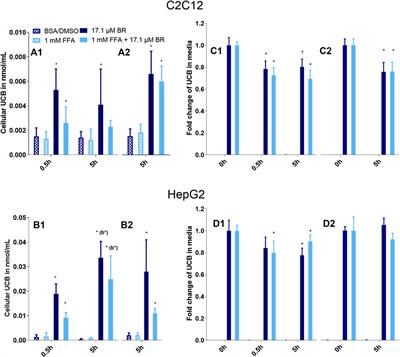 Inhibition of Lipid Accumulation in Skeletal Muscle and Liver Cells: A Protective Mechanism of Bilirubin Against Diabetes Mellitus Type 2